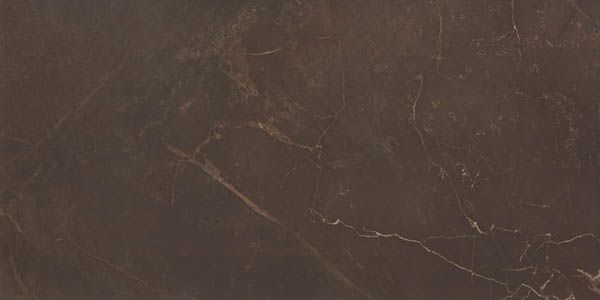 Керамическая плитка marble marron 24,9x50