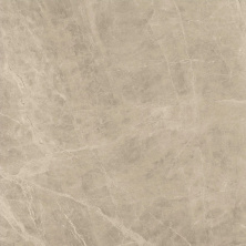 Керамогранит marvel elegant sable  lappato 120x120