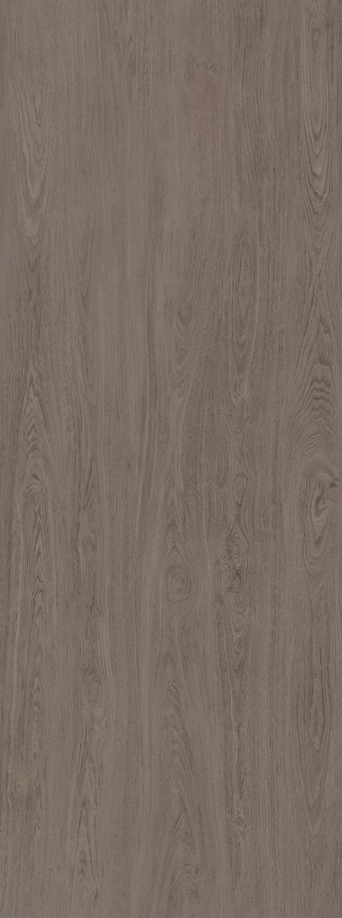 Керамогранит kerama marazzi sg076100r6 Кредо коричневый темный обрезной 119.5x320