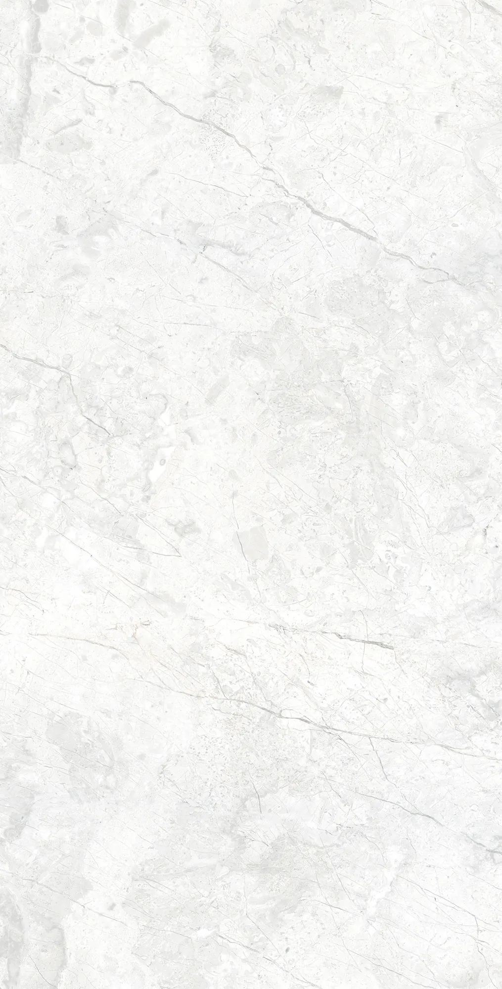 Керамогранит Аркадия Керамика rt7015-a marcus bianco matt rustic белый 60x120