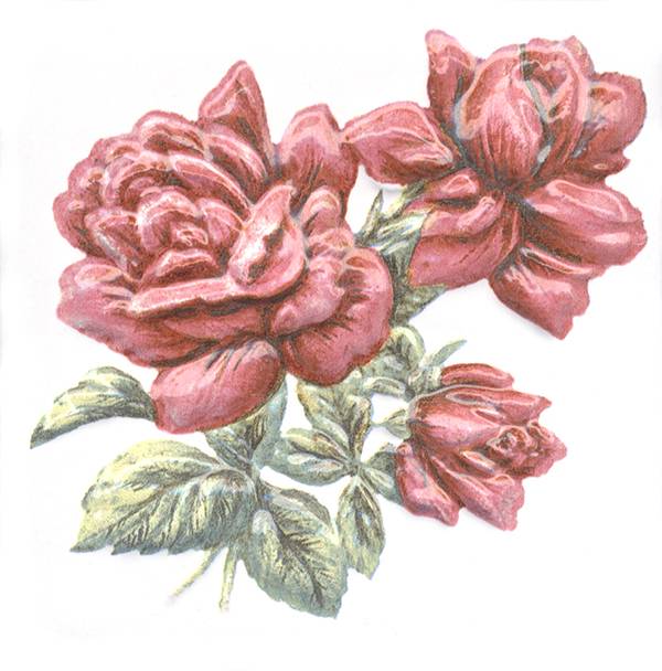 Керамическая плитка Декор Оранжерея Розы 9,9x9,9