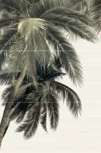 Керамическая плитка Панно Алма ceramica Дель Маре pwu09dlm3 зеленый 50x74.7