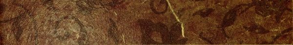 Керамогранит сицилия коричневый бордюр листья 7,2x45