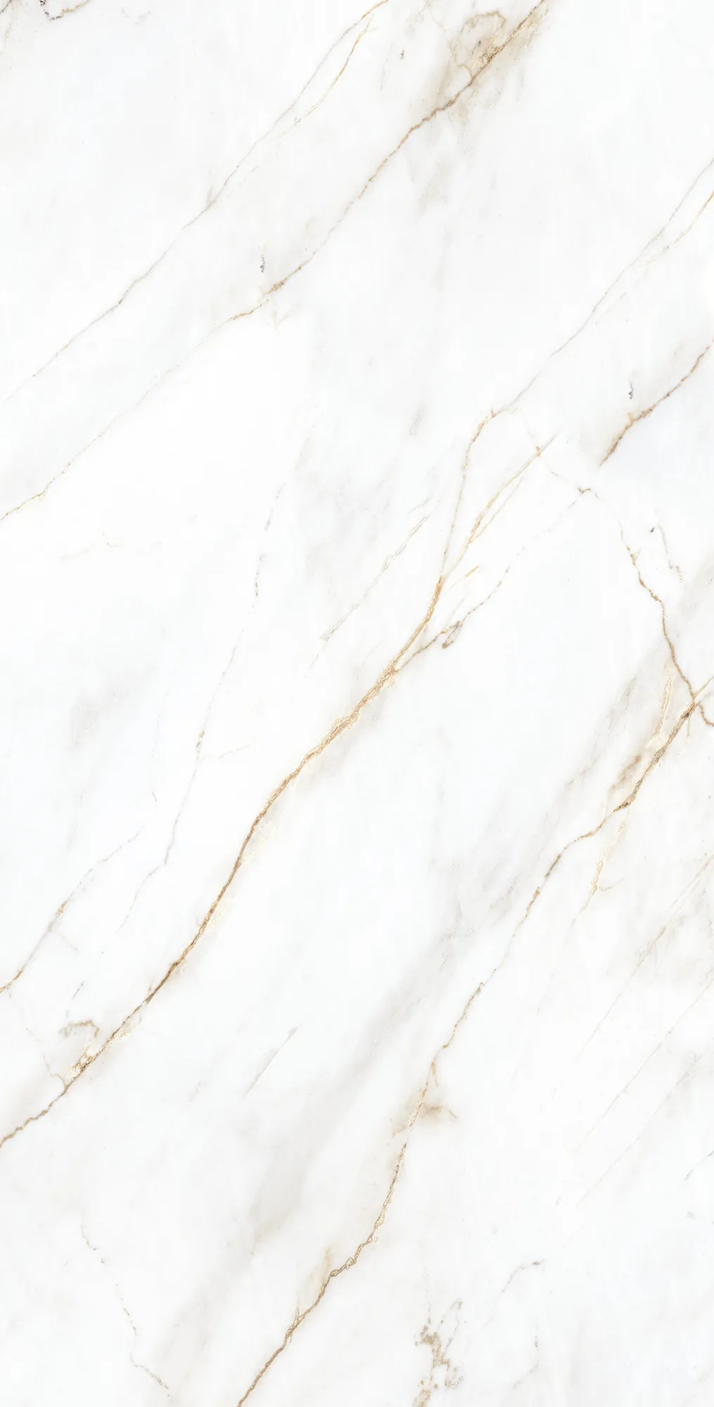 Керамогранит Креанза cp4004-a selva gold carving pro белый 60x120