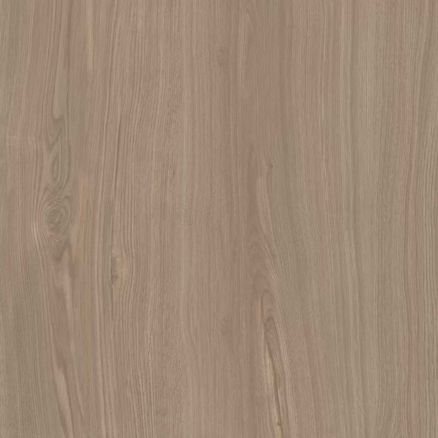 Керамогранит Альберони коричневый светлый матовый обрезной 60x60