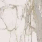 Керамогранит ШАР.ЭВО КАЛАКАТТА 60 РЕТ 60x60