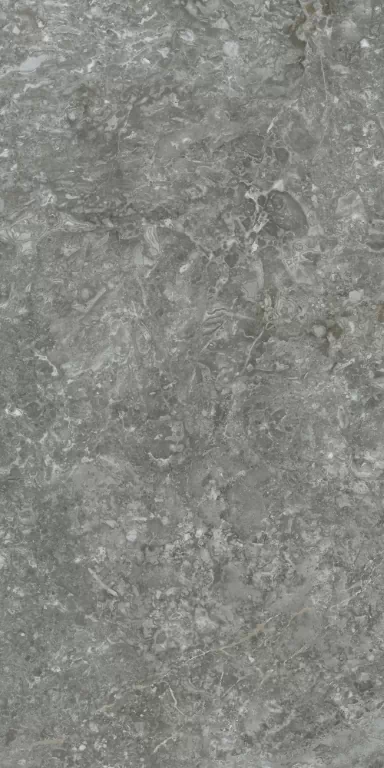 Керамогранит kerama marazzi sg593322r Риальто Нобиле серый темный лаппатированный обрезной 119.5x238.5