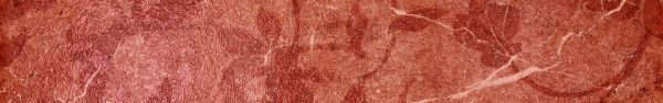 Керамогранит сицилия красный бордюр листья 7,2x45