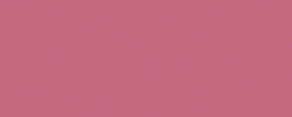 Керамическая плитка Городские цветы розовый 20x50