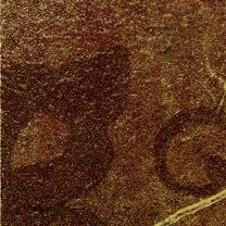 Керамогранит Сицилия Коричневый Вставка Листья 