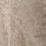 Керамогранит Привиледж Гриджио 610090000765 