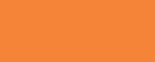 Керамическая плитка Городские цветы оранжевый 20x50