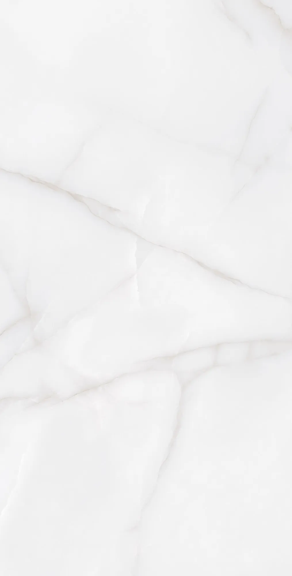 Керамогранит Аркадия Керамика rt7012-a feather onyx matt rustic белый 60x120