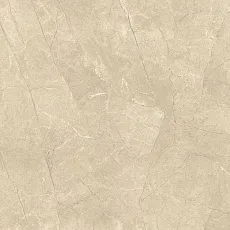 Керамогранит ШАР.ЭКС.АРКАДИА 59 ЛЮКС 59x59