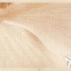 Керамическая плитка бордюр сомерсет hgd\a06\6249 5,4x25