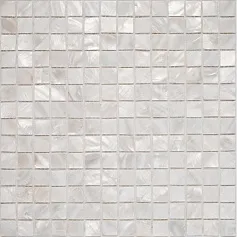 Мозаика Мун shell 30x30