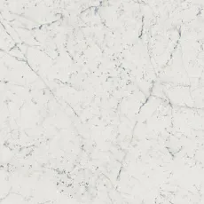 Керамогранит ШАР.ЭКС.КАРРАРА 60x120 ЛЮКС 60x120