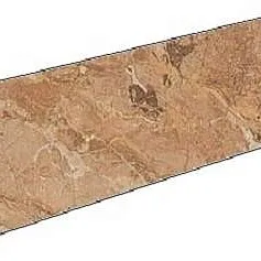 Керамогранит Привиледж Миеле 610130000184 7,2x60