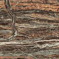 Керамогранит Эпос jurassic rett lapp 60x120