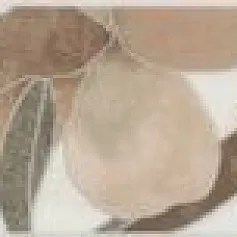 Керамогранит Бордюр Стеллине 6,3x50