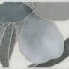 Керамогранит Бордюр Стеллине 6,3x50