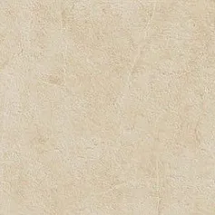 Керамогранит С.С. Айвори Вакс 610015000308 60x120