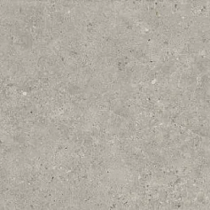 Керамогранит kerama marazzi sg519920r Риккарди серый светлый матовый обрезной 60x119.5