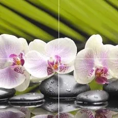 Керамическая плитка азалия панно орхидея фисташковый 50x70