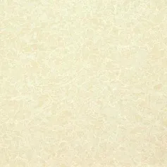 Керамогранит пмр 6609 60x60