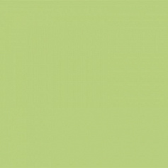 Estima YourColor 93 салатовый для дома для гаража для крыльца для прихожей для улицы