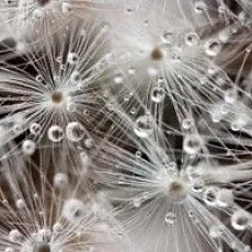 Керамическая плитка джерси декор белый 30x60