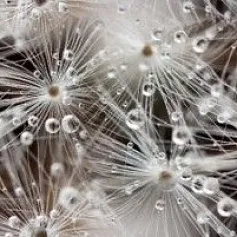 Керамическая плитка джерси декор белый 30x60