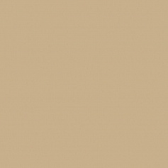 Estima Rainbow 15 коричневый 