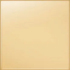 Керамическая плитка pastel waniliowy  полированный настенная 20x20