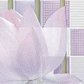 Керамическая плитка lotus 1 24,9x50