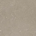 Perle