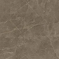 Керамогранит С.С. Грей Вакс 610015000311 60x120