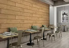 Коллекция плитки Lyptus