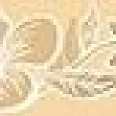 Керамическая плитка Элисса sabbia fiore 1c 6,2x50,5