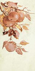 Керамическая плитка enna apple декор 22,3x44,8