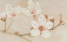 Шахтинская плитка Сакура коричневый декор 02 бежевый 