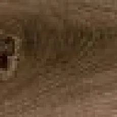 Керамогранит Бриккола roble 20x120