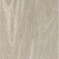 Керамогранит Рейниер Арена 20x120