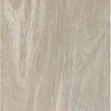 Керамогранит Рейниер Арена 20x120