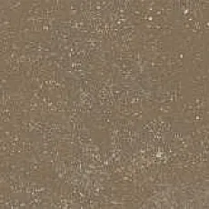 Керамогранит Довиль коричневый светлый матовый 9,9x40,2
