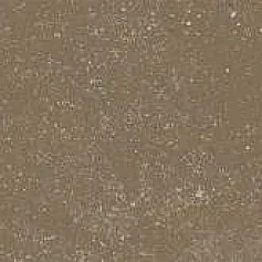 Керамогранит Довиль коричневый светлый матовый 9,9x40,2