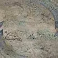 Керамическая плитка Декор Вудсток 3 матовый 6x28.5