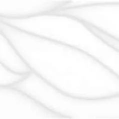 Керамическая плитка Сигма белый рельеф 20x60