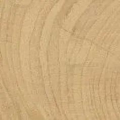 Керамогранит Тайм ring Хани 20x60