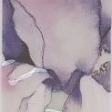 Керамическая плитка Бордюр Маронти mld\a55\8249 5,7x30